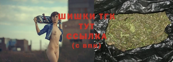гашик Алексеевка
