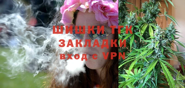 гашик Алексеевка