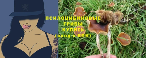 кокаин премиум Алзамай